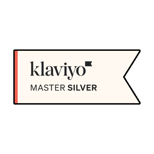 klaviyo-master-silver